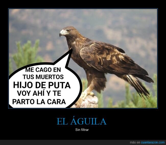 águila,sin filtrar