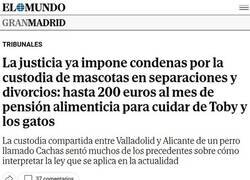 Enlace a ¿Qué pasa con las mascotas cuando hay una separación?