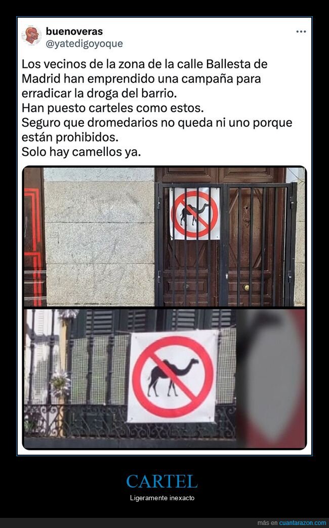 camellos,carteles,dromedario