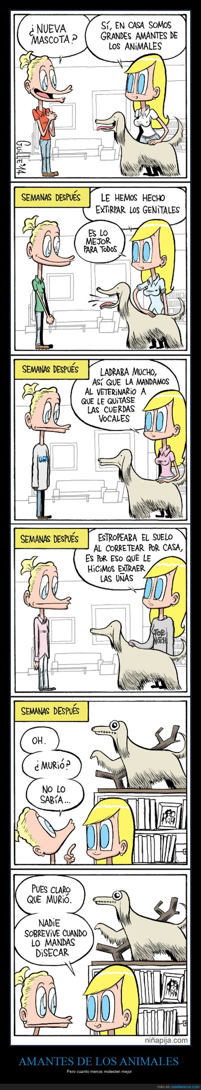 perro,disecado