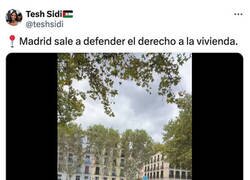 Enlace a No todo el mundo cree que la vivienda sea un derecho...