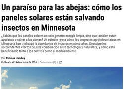 Enlace a Los paneles solares tienen más beneficios de lo que se creía