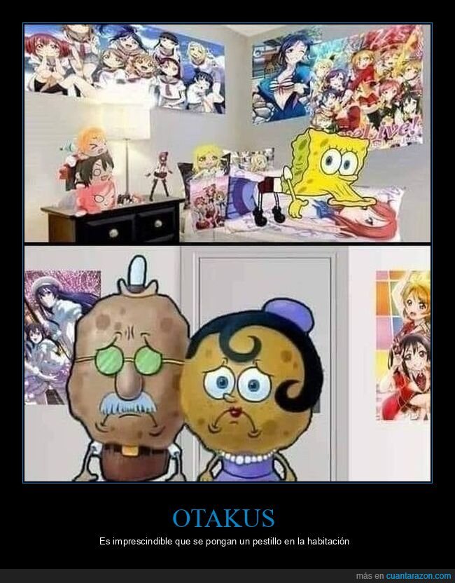 otaku,bobo esponja,padres