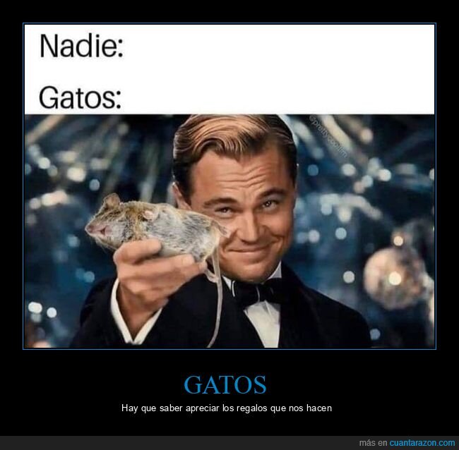 gatos,regalos,ratón