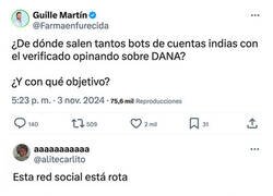 Enlace a Invasión de bots indios