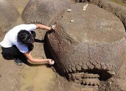 Enlace a Hallazgo prehistórico