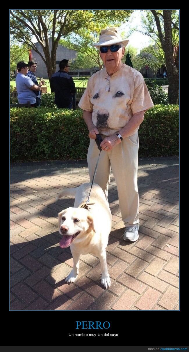 perro,camiseta