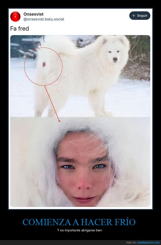 björk,culo,perros