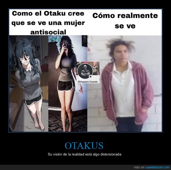 otakus,mujer,antisocial,expectativas,realidad