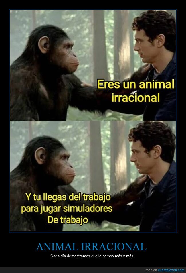 animal irracional,trabajo,simuladores