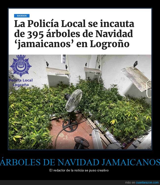 árboles de navidad,incautación,maría,policía