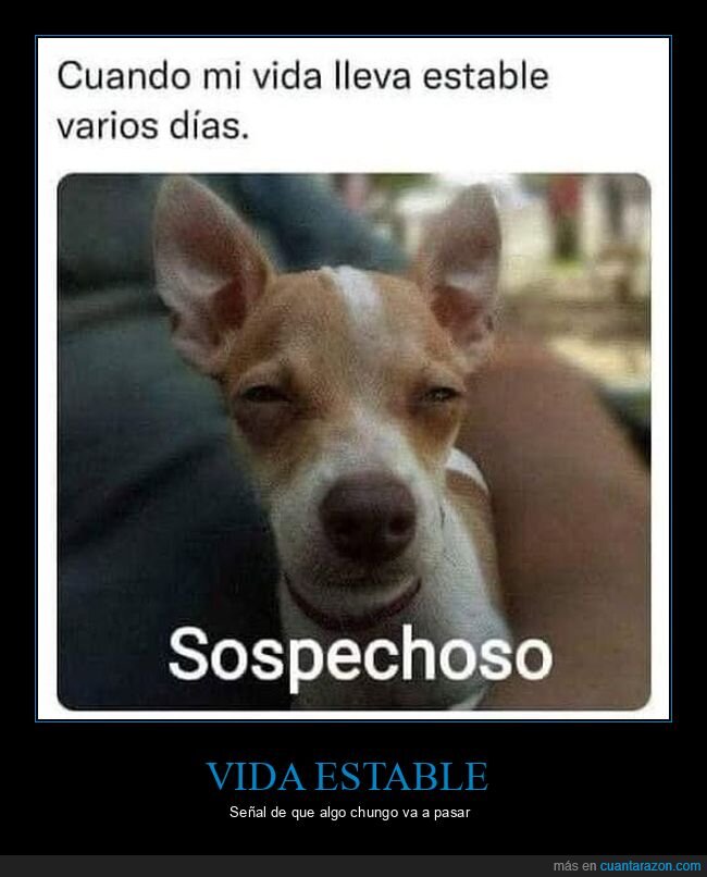 vida,estable,sospechoso