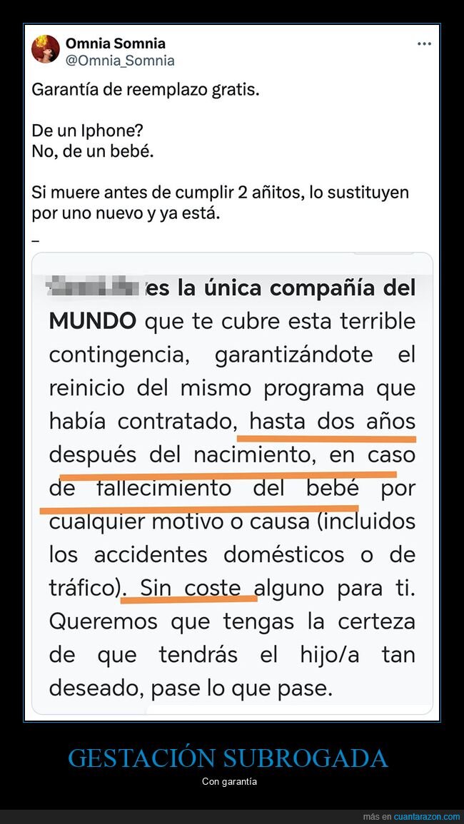 bebé,garantía,gestación subrogada,muerte