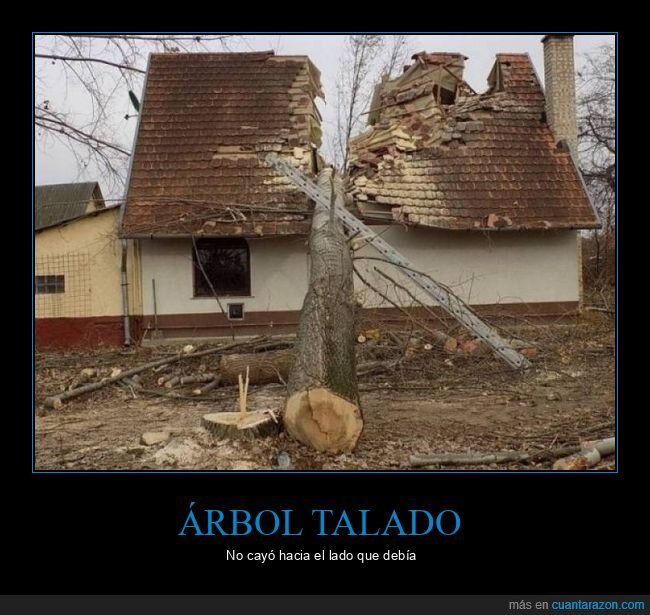 árbol,casa,fails