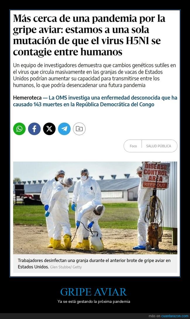 gripe aviar,mutación,humanos