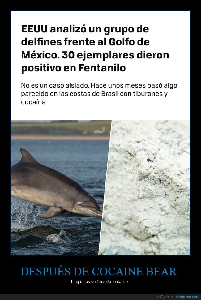 delfines,fentanilo