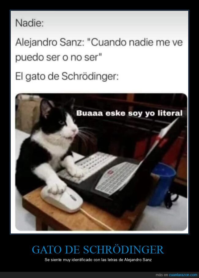 gato de schrödinger,alejandro sanz