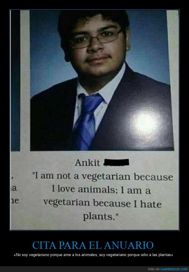 amor,animales,odio,plantas,vegetariano