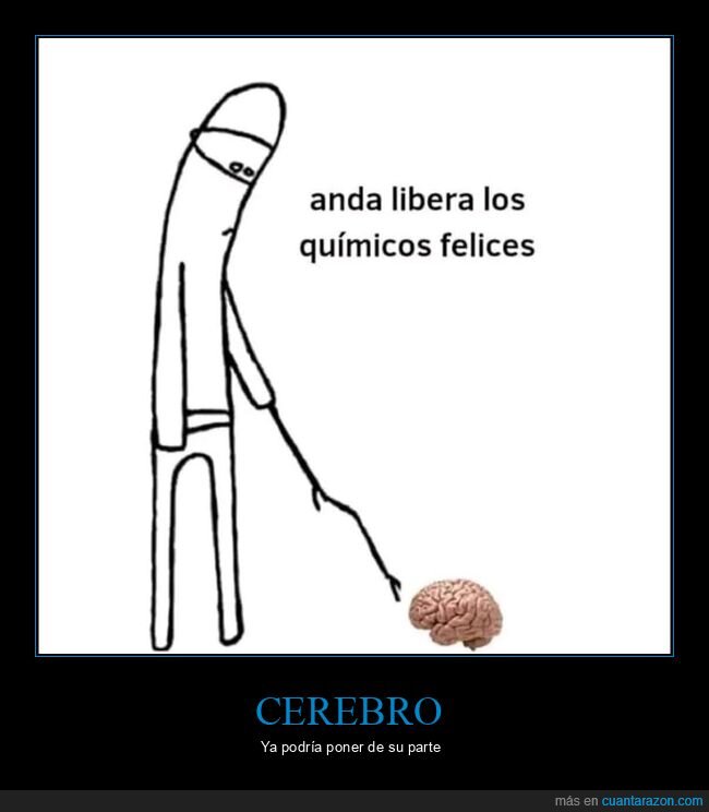 cerebro,químicos felices