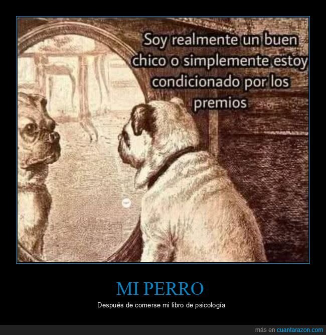 perro,libro,psicología