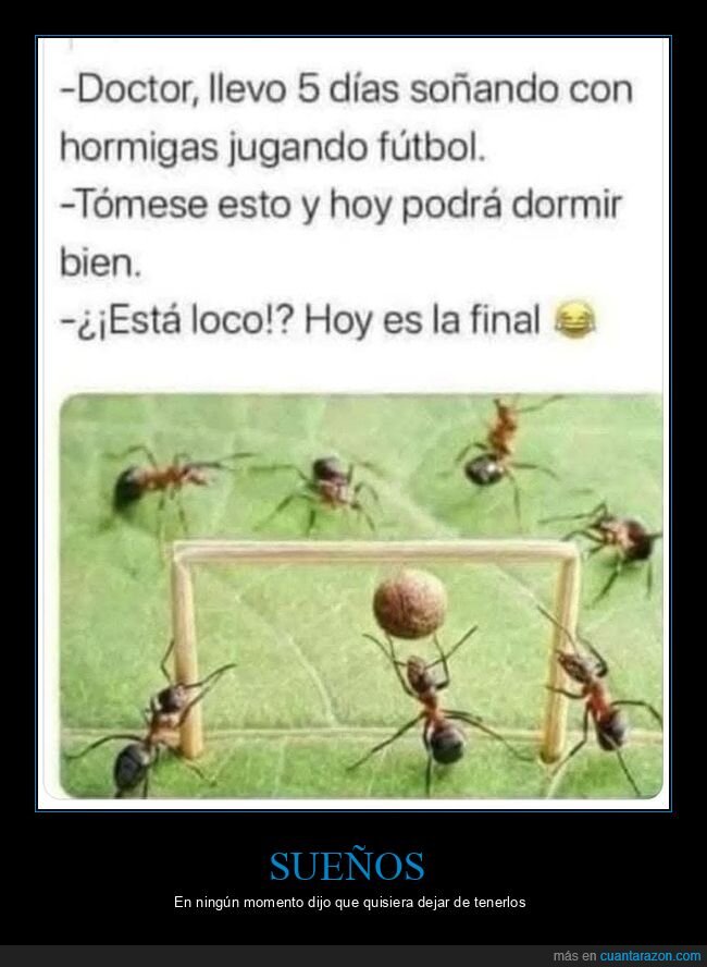 hormigas,fútbol,sueños