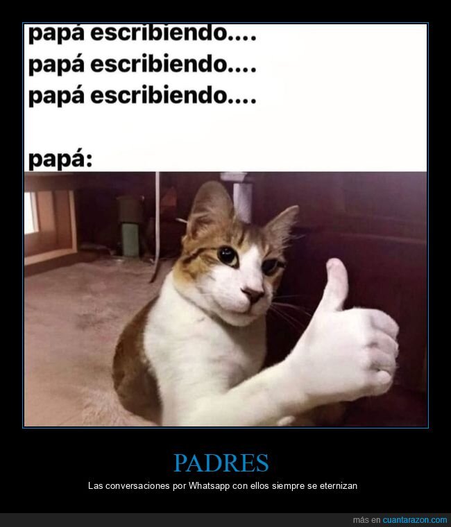 padre,whatsapp,escribiendo