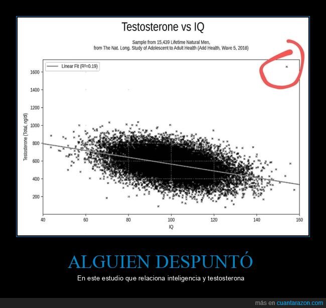 estudio,testosterona,inteligencia