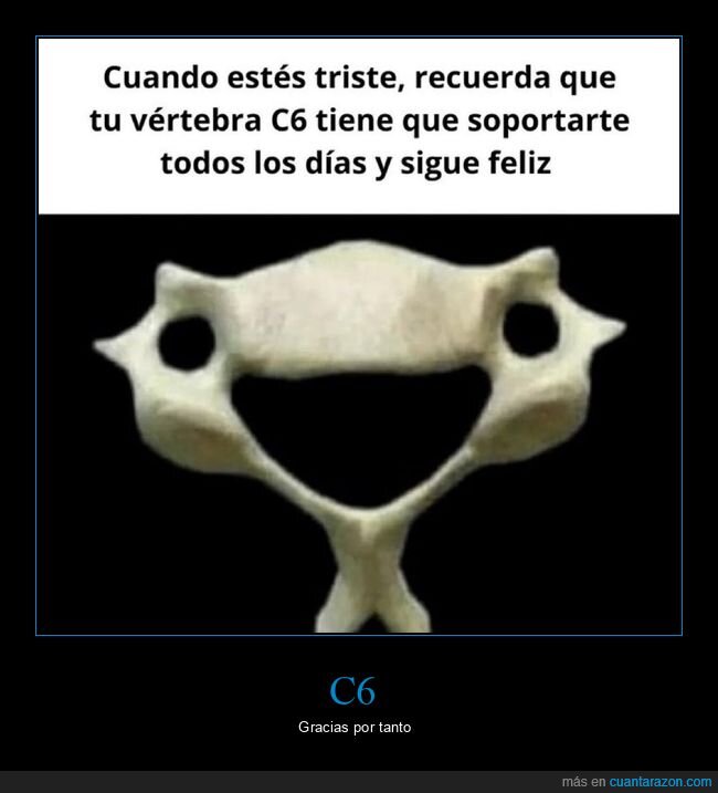 vertebra,aguantar,risa,c6