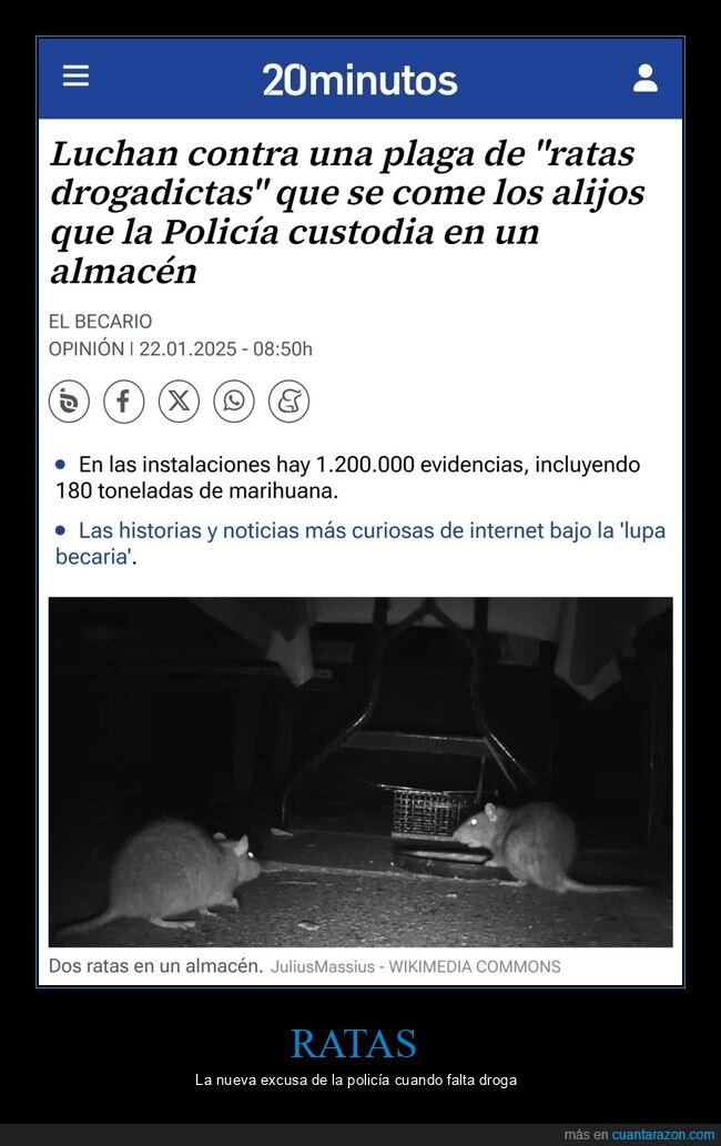 ratas,drogadictas,alijos