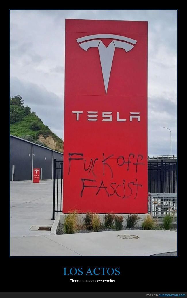 tesla,pintada,elon musk