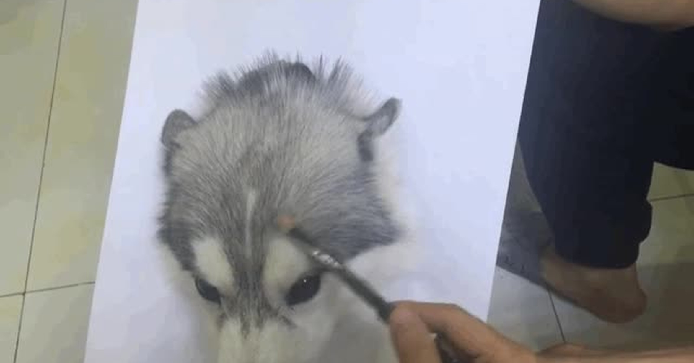 Vaya Gif Tutorial De o Dibujar Un Perro Realista