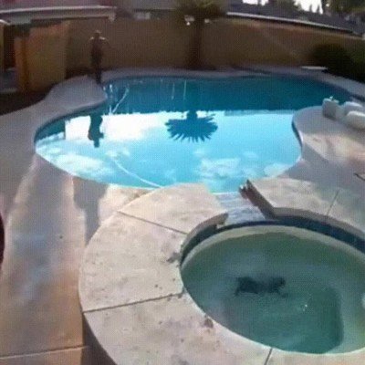 Salvando a su perro de ser ahogado. Menos mal que ha terminado bien esta historia ahogado,perro,salvar,susto