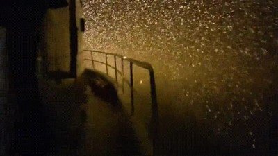 Ver nieve caer desde un barco es una experiencia inolvidable barco,inolvidable,nieve