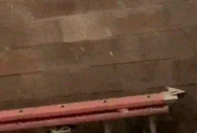 reaccion,logica,nieve