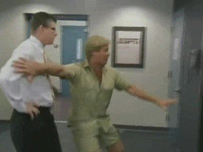 prueba,steve,irwin,sentido del humor