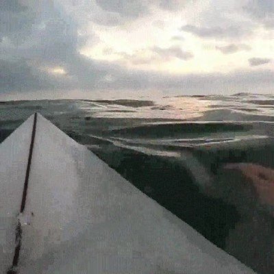 mar,plastico,muestra