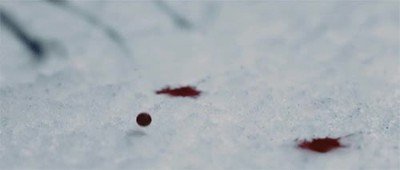 Enlace a El hipnótico efecto de sangre cayendo sobre la nieve