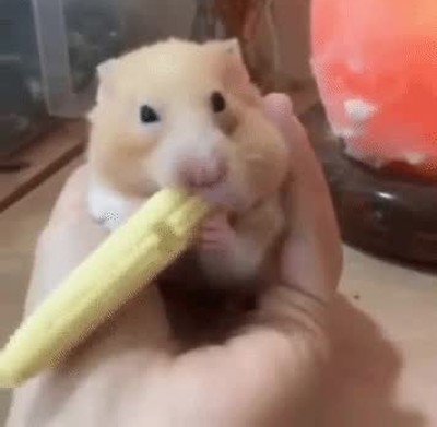 comer,hambre,insaciable