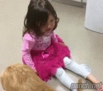 diferencia,perro,gato