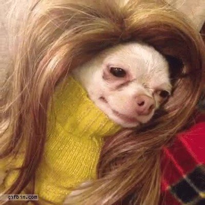 romper,novio,perro,helado