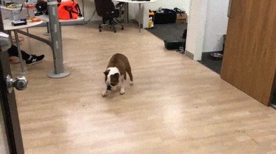 Enlace a No necesitas ir rápido si tienes estilo