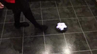 roomba,pelota,futbol