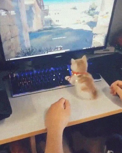 Mejor GIF de hace un año