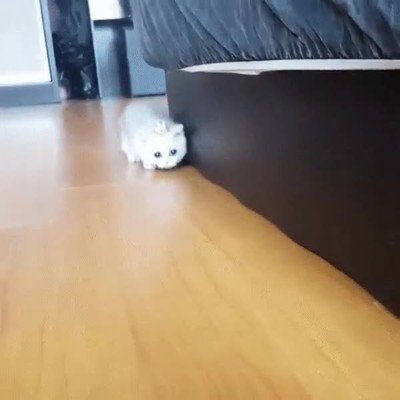 Enlace a La princesa de mi casa