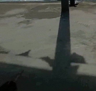 Enlace a Nunca había visto aparcar un barco con tanta precisión