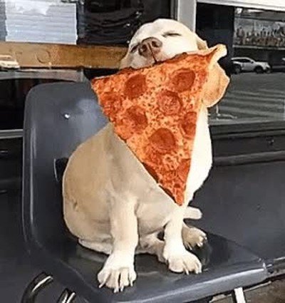 cara,pizza