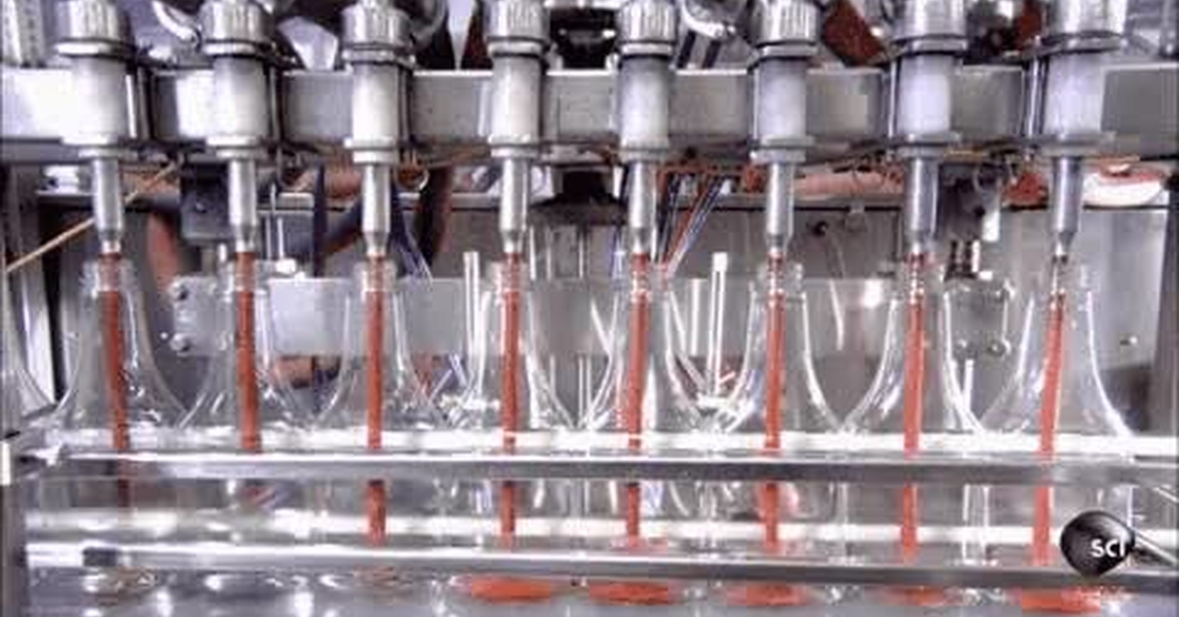 ¡Vaya GIF! / Así se llenan automáticamente las botellas ...