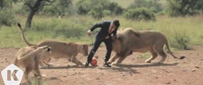 Enlace a Jugando a futbol contra leones. No todo el mundo se atrevería 