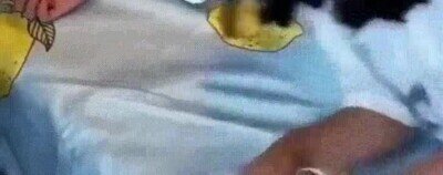 Los japoneses han creado esta maravilla de almohada que puedes poner el brazo por dentro almohada,brazo,cojín,hueco