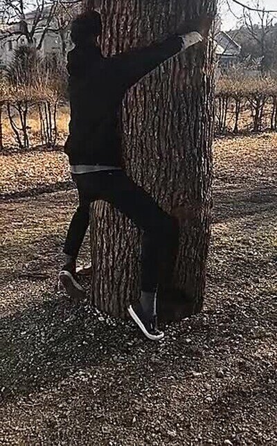 Enlace a Han creado un agujero para que todo el mundo pueda abrazar a un árbol 